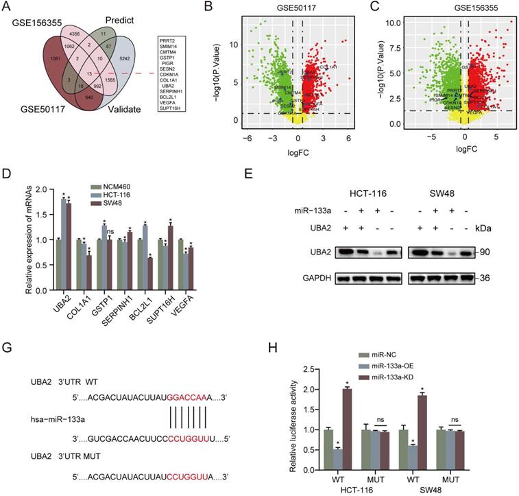 J Cancer Image