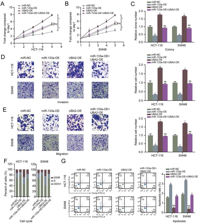 J Cancer Image