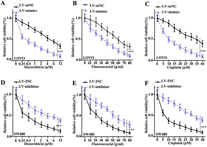 J Cancer Image