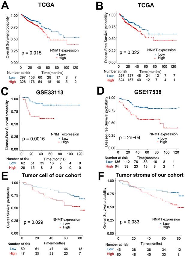 J Cancer Image