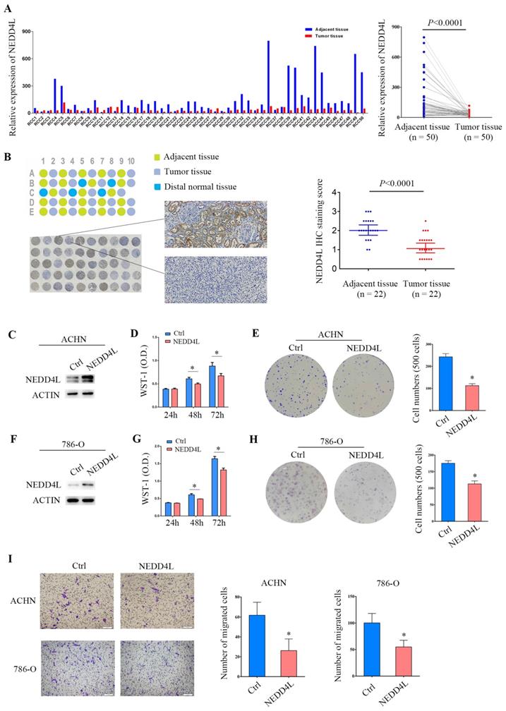 J Cancer Image