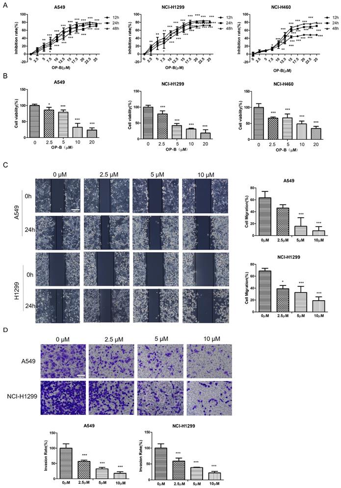 J Cancer Image