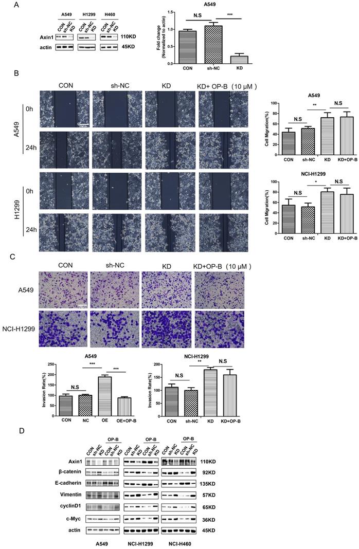 J Cancer Image