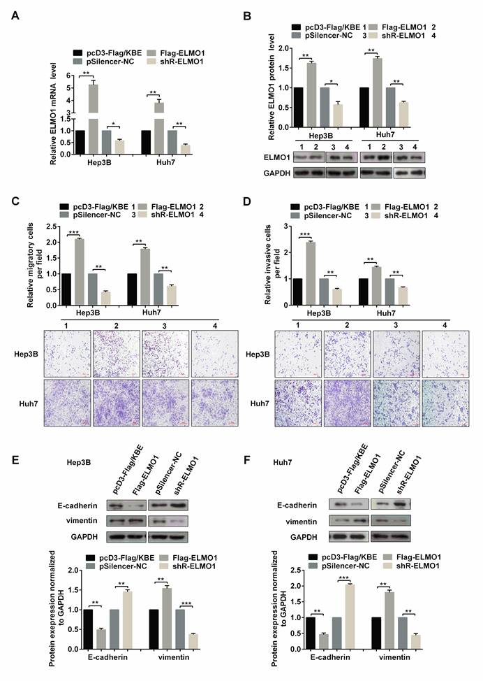 J Cancer Image