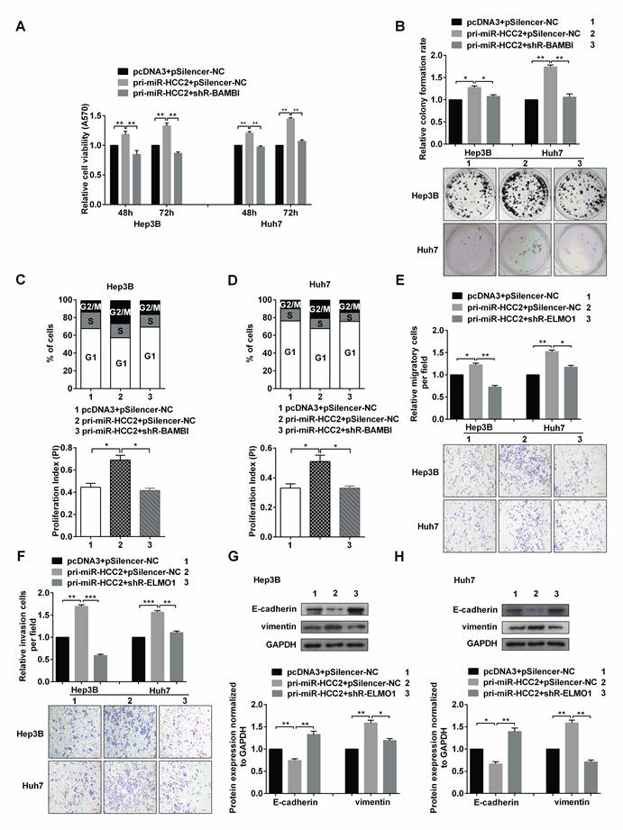 J Cancer Image