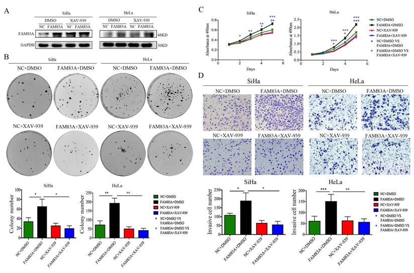 J Cancer Image