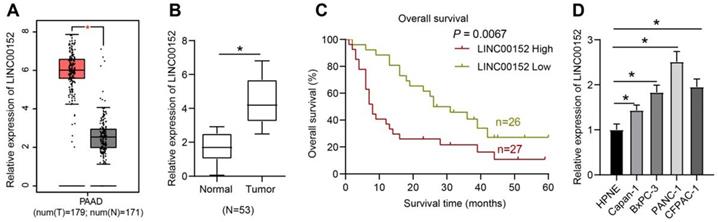 J Cancer Image