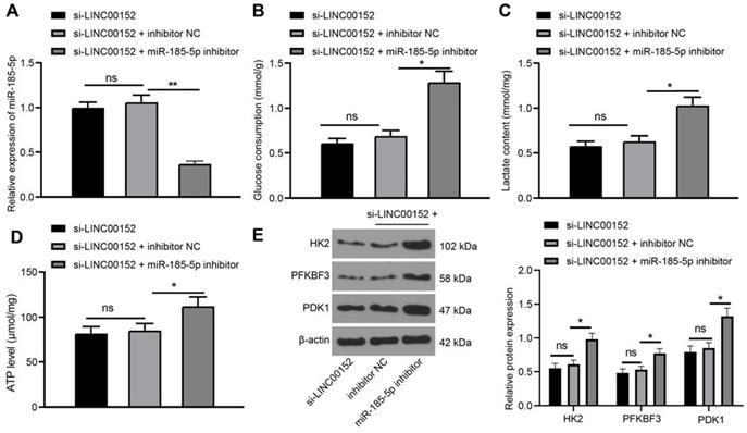 J Cancer Image