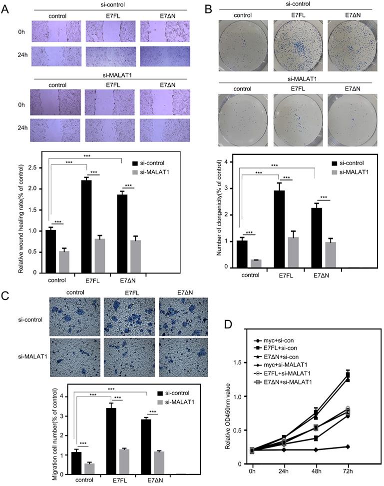 J Cancer Image