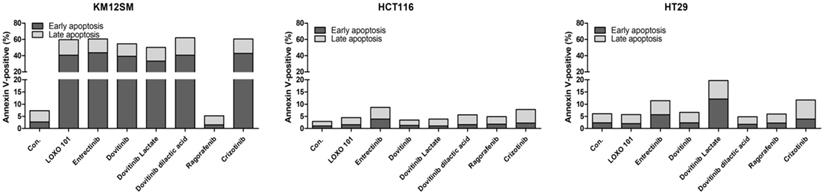 J Cancer Image