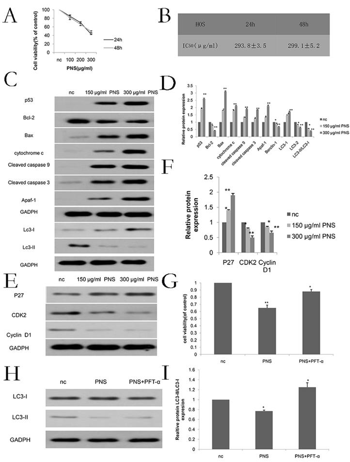 J Cancer Image