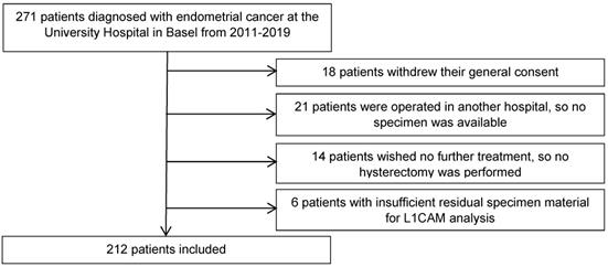 J Cancer Image