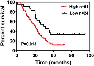 J Cancer Image