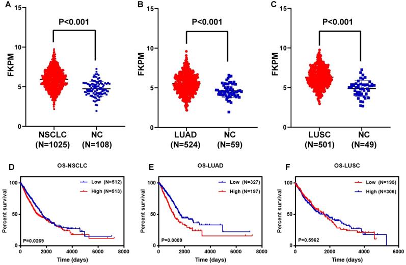 J Cancer Image