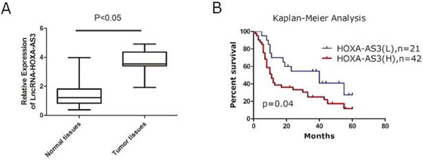 J Cancer Image