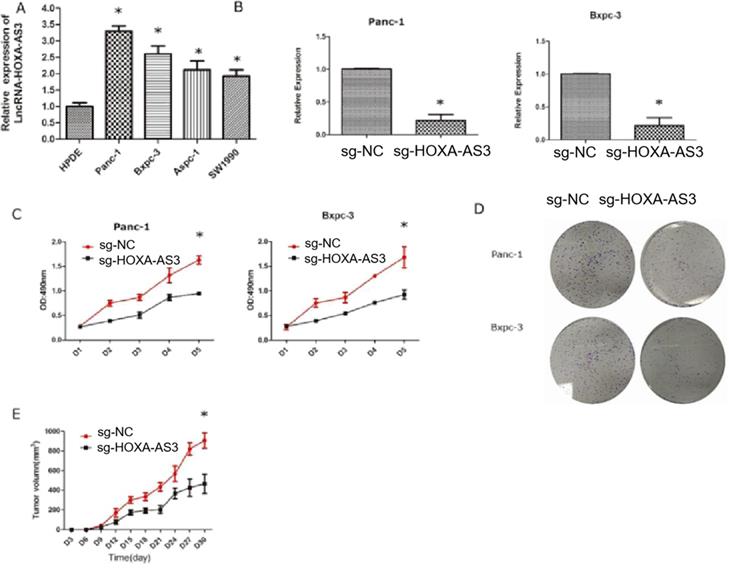 J Cancer Image