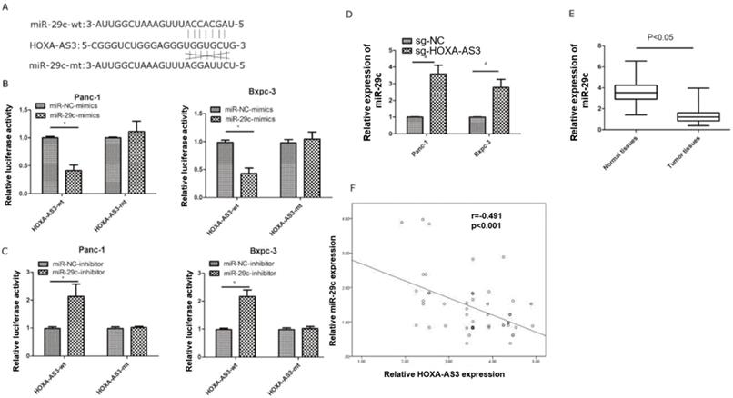 J Cancer Image