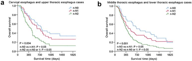 J Cancer Image