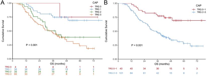 J Cancer Image