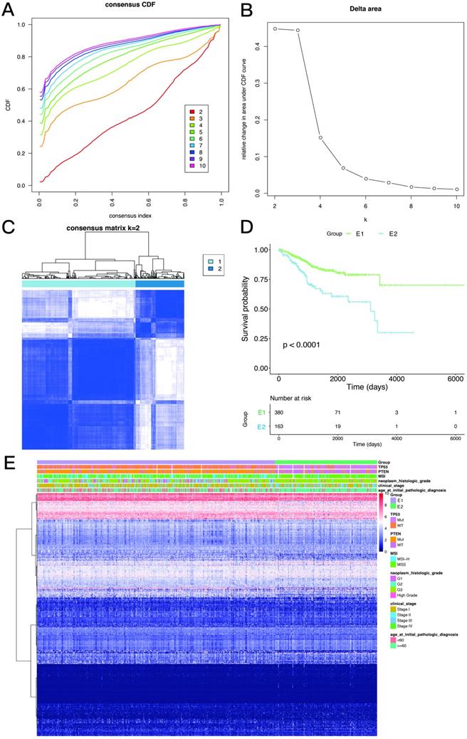 J Cancer Image