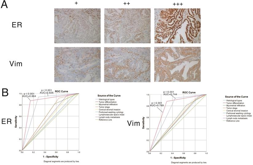 J Cancer Image