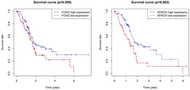 J Cancer Image