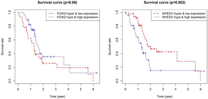 J Cancer Image