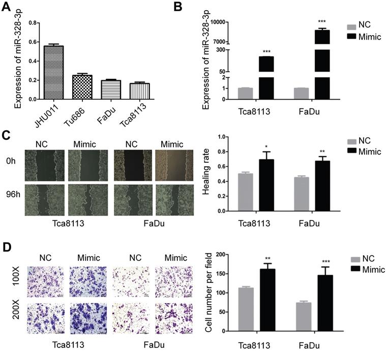 J Cancer Image