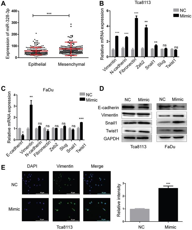 J Cancer Image