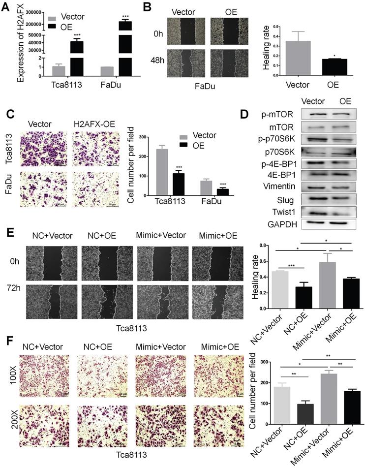 J Cancer Image