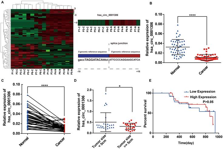 J Cancer Image