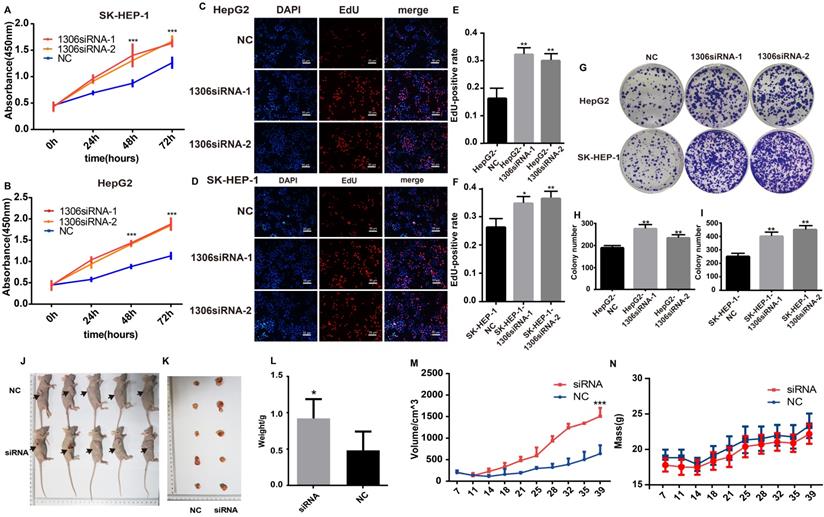 J Cancer Image