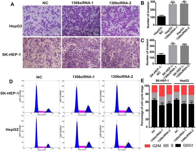 J Cancer Image