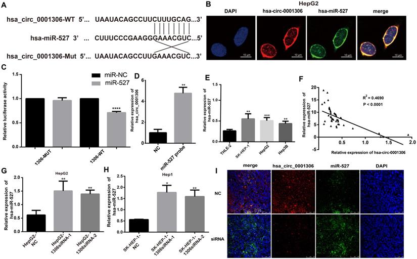 J Cancer Image