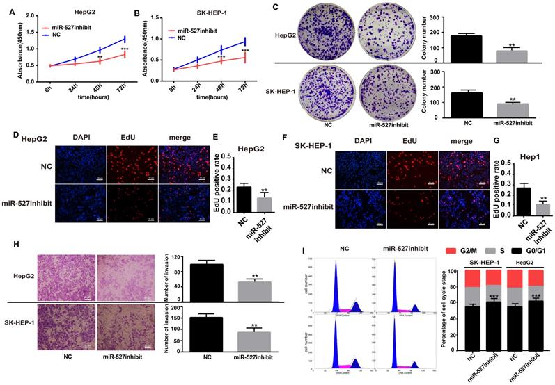 J Cancer Image