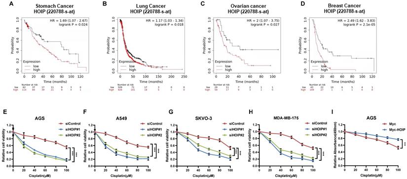 J Cancer Image