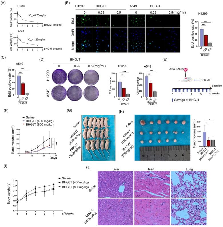 J Cancer Image