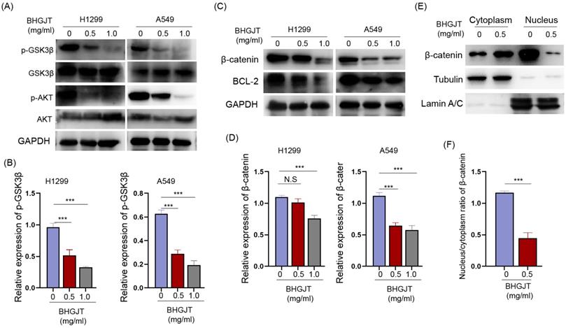 J Cancer Image