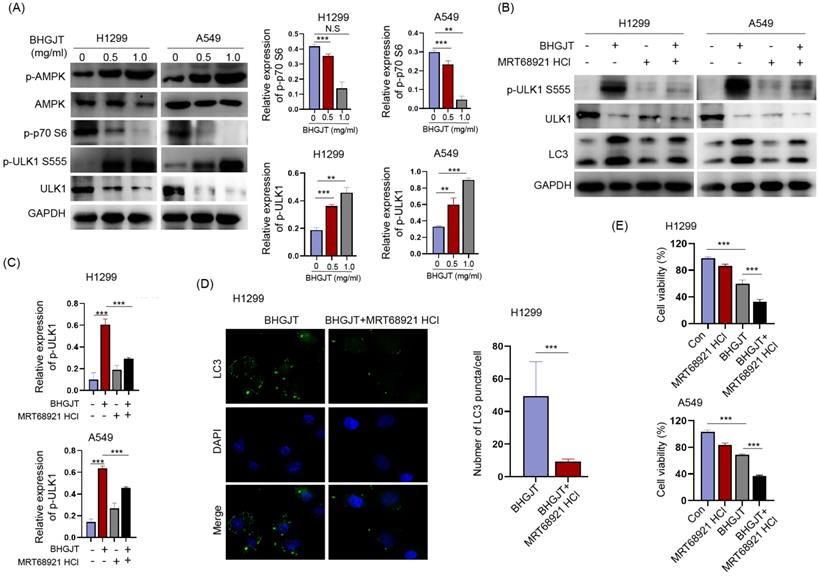 J Cancer Image