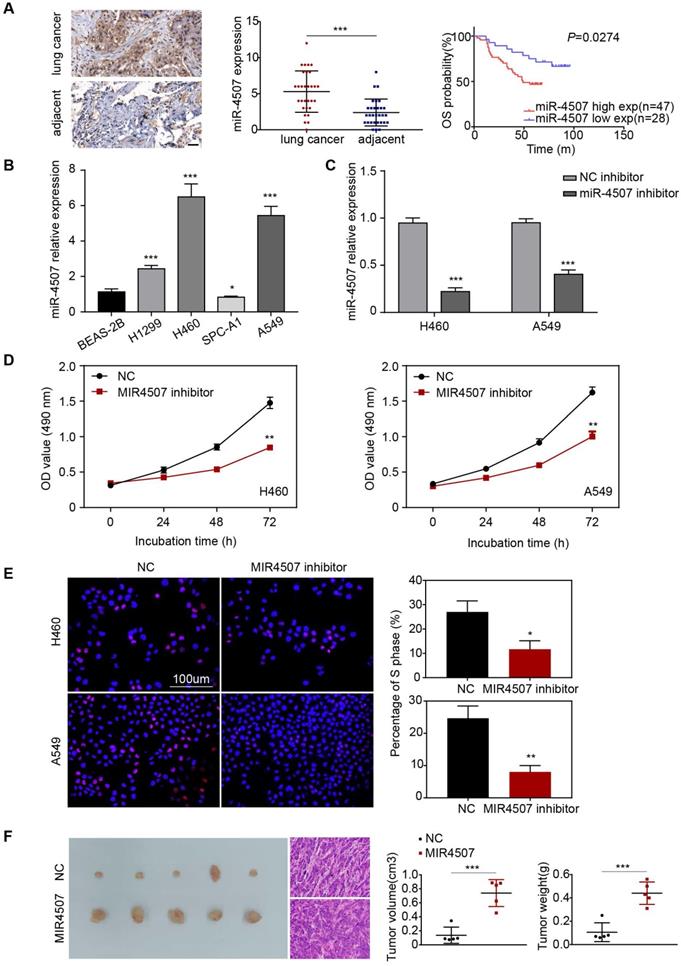 J Cancer Image