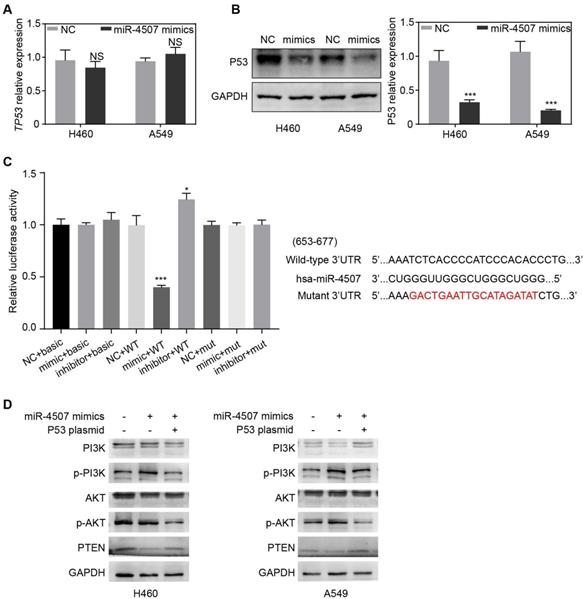 J Cancer Image