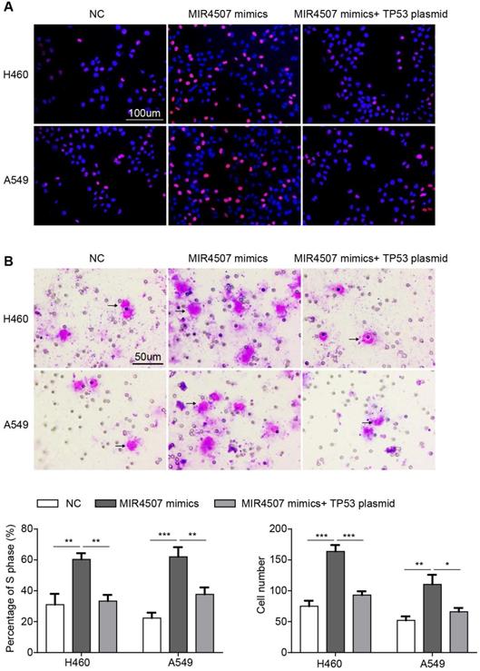 J Cancer Image