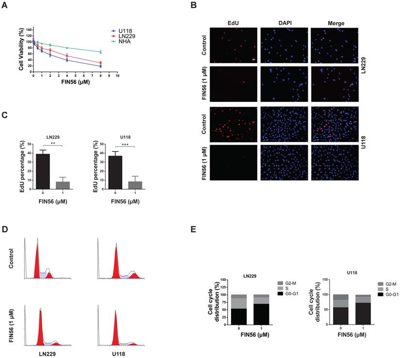 J Cancer Image