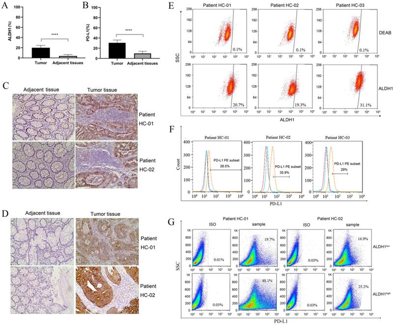 J Cancer Image