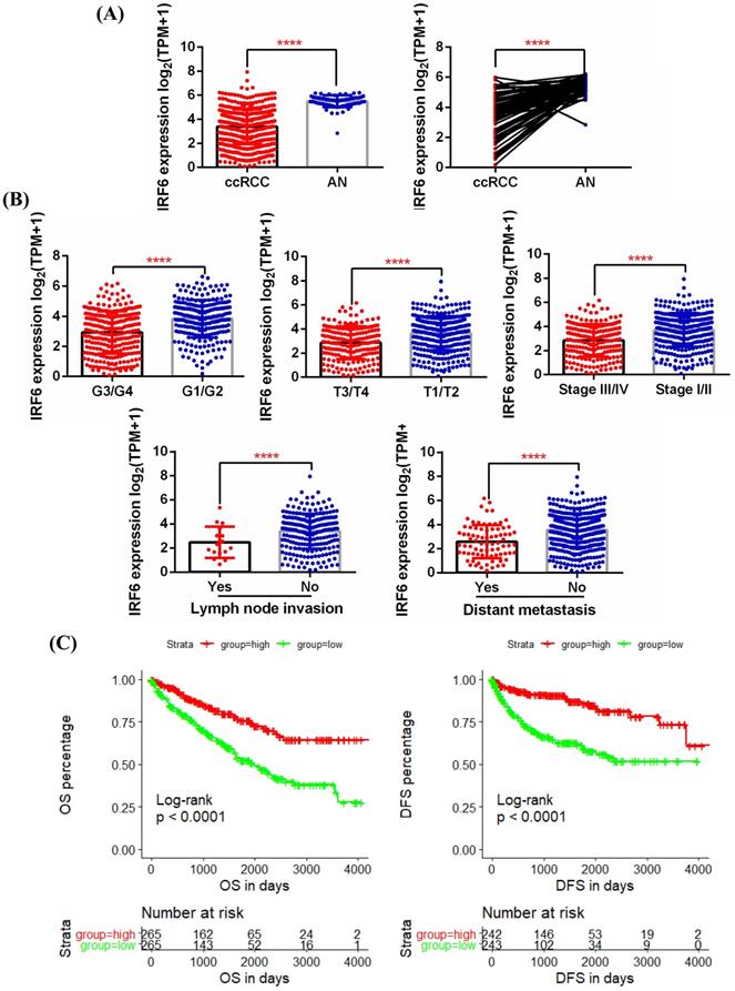 J Cancer Image