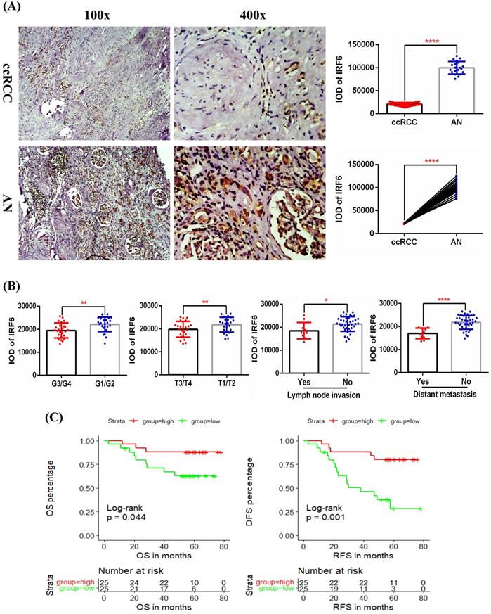 J Cancer Image