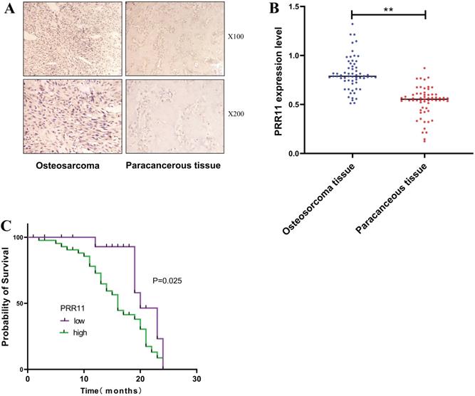 J Cancer Image