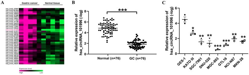 J Cancer Image