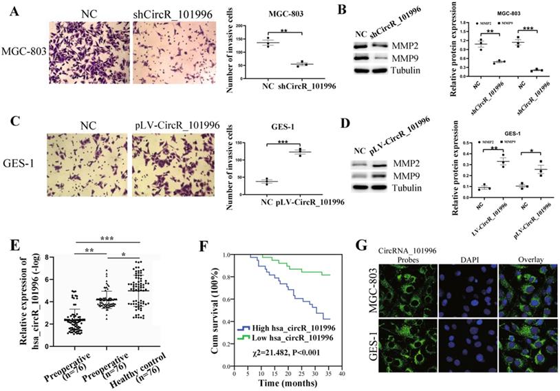 J Cancer Image