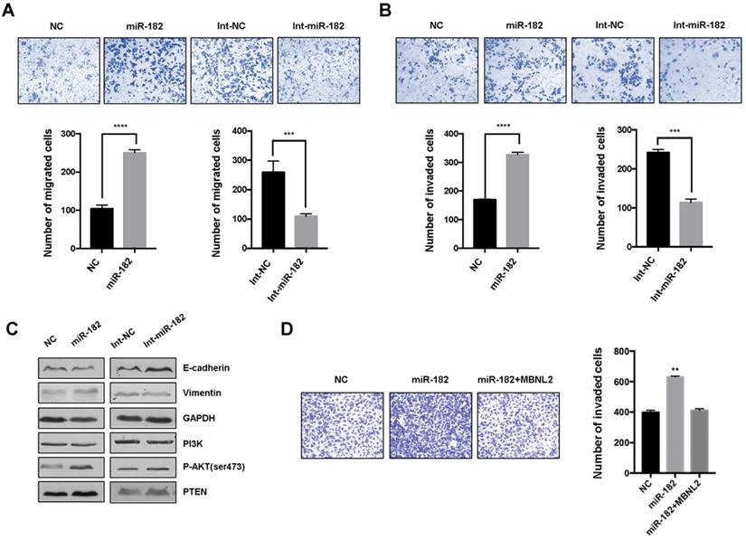 J Cancer Image